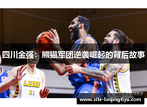 四川金强：熊猫军团逆袭崛起的背后故事