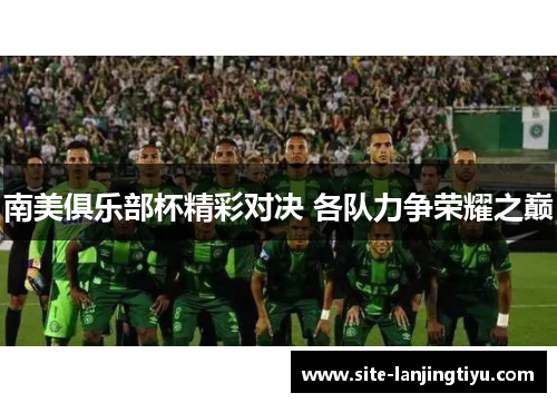 南美俱乐部杯精彩对决 各队力争荣耀之巅