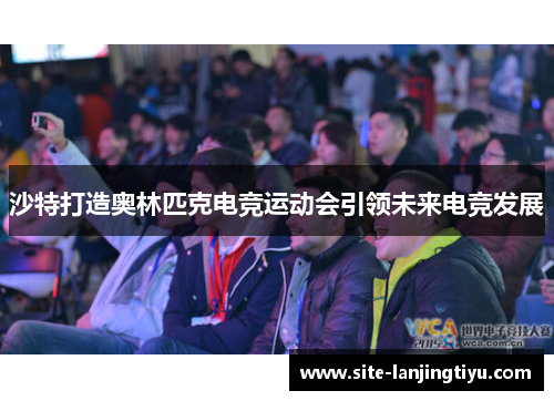沙特打造奥林匹克电竞运动会引领未来电竞发展