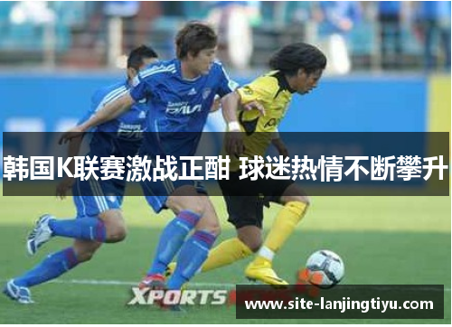 韩国K联赛激战正酣 球迷热情不断攀升